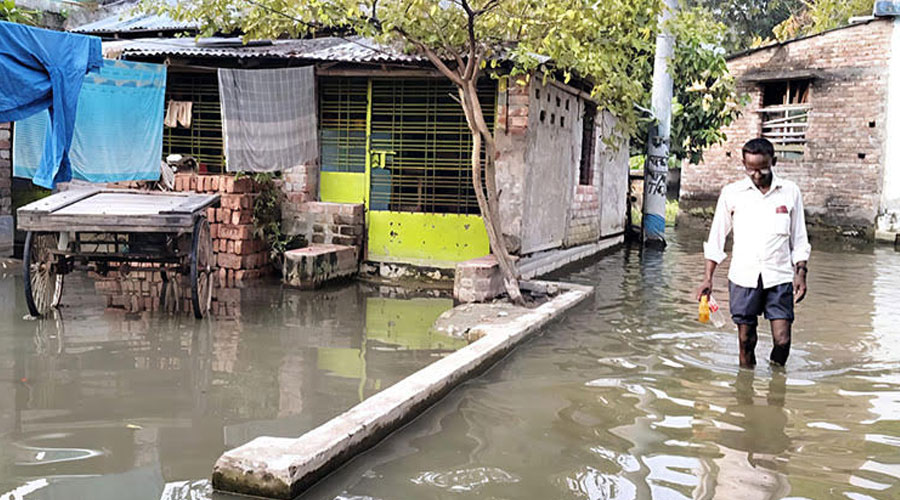 দু’সপ্তাহের টানা বৃষ্টিতে ভয়াবহ জলাবদ্ধতার কবলে  সাতক্ষীরা,জনভোগান্তি চরমে