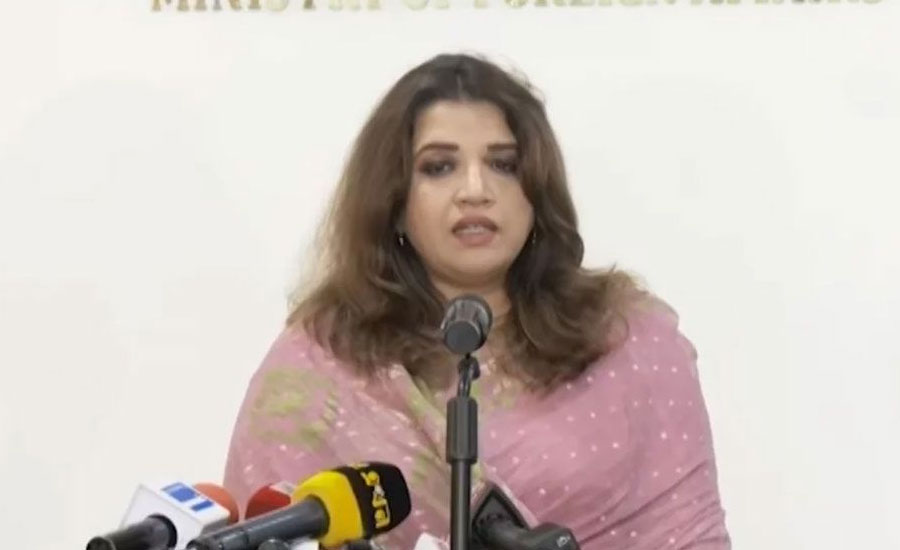 রাষ্ট্রপতির সঙ্গে শেখ হাসিনার ফোনালাপ, যা বললেন পররাষ্ট্র প্রতিমন্ত্রী