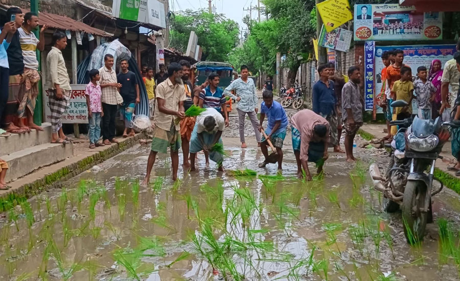 সড়কের গর্তে ধানের চারা রোপণ করে ক্ষোভ প্রকাশ এলাকাবাসীর