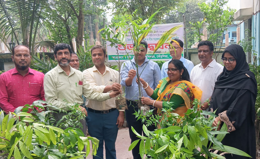 তেঁতুলিয়ায় কৃষকদের মাঝে কৃষি উপকরণ বিতরণ ও শিক্ষা প্রতিষ্ঠানে বৃক্ষরোপণ কর্মসূচির শুভ উদ্বোধন