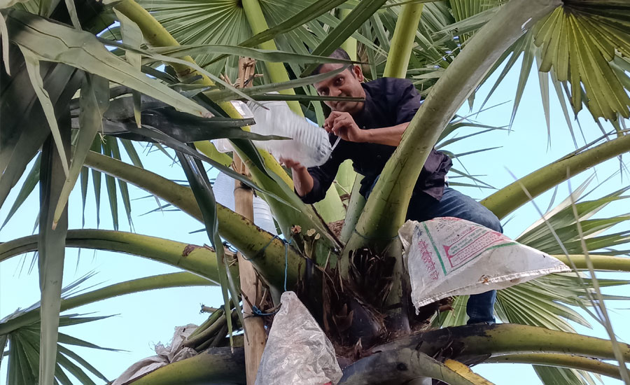 লেদ ওয়ার্কশপে ব্যর্থ, তালের রস বিক্রি করে ঘুরে দাঁড়ালেন আনিস