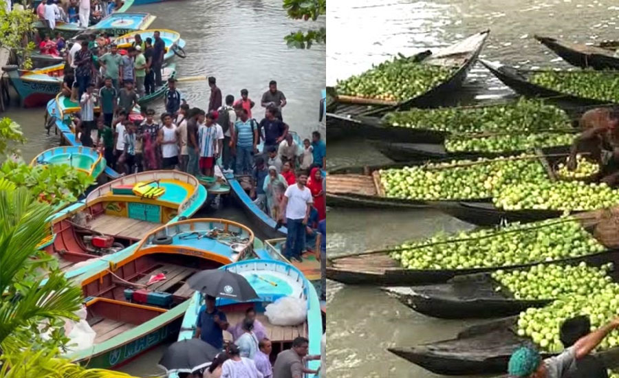 নেছারাবাদে জমজমাট ভাসমান পেয়ারার হাট আসছেন দেশি বিদেশী পর্যটক