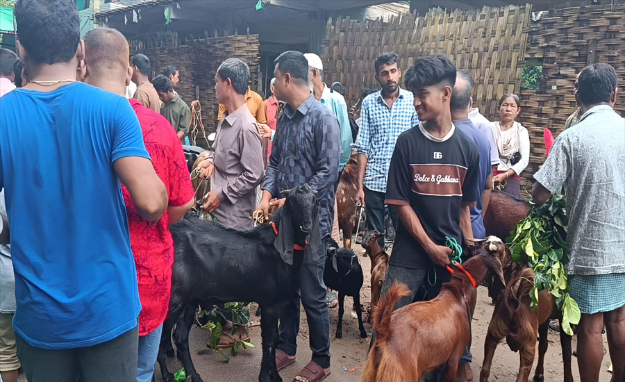 রাইখালী ছাগলের হাটে পাহাড়ি ছাগলের কদর বেশি মনসা পূজা ঘিরে জমজমাট হাট, দূর-দূরান্ত থেকে আসছেন ক্রেতারা