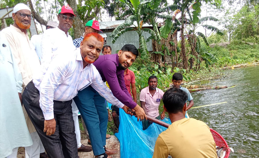ফুলবাড়ীতে বর্ণাঢ্য আয়োজনে জাতীয় মৎস্য পক্ষ ২০২৬ উদ্বোধন