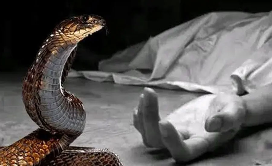 সাতক্ষীরায় সাপের কামড়ে তানজিম হাসান নামে তিন বছরের এক শিশুর মৃত্যু