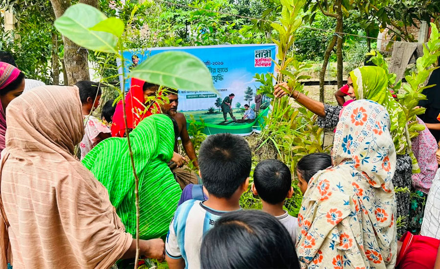 দেবিদ্বারে ‘দেবিদ্বার মুভমেন্ট’-এর উদ্যোগে বৃক্ষরোপণ কর্মসূচি অনুষ্ঠিত