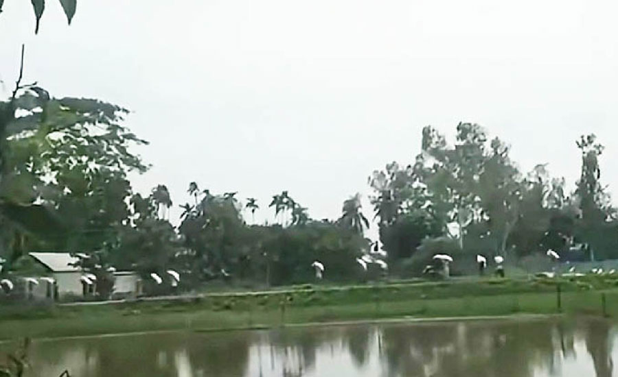 কুড়িগ্রামের ডিলারের গুদাম ভেঙে ১৬৭ বস্তা সার নিয়ে গেলেন কৃষকেরা
