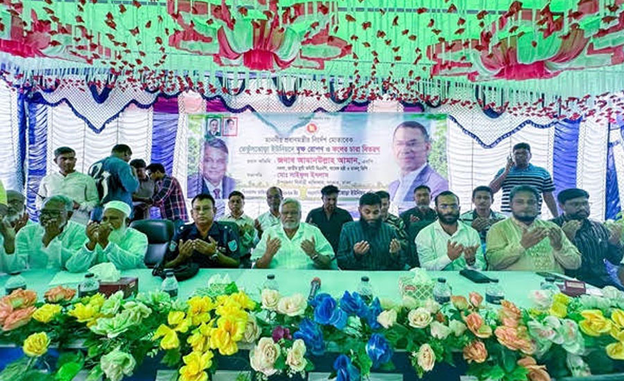 পরিবেশ রক্ষায় বৃক্ষরোপণের বিকল্প নেই: এমপি আমান