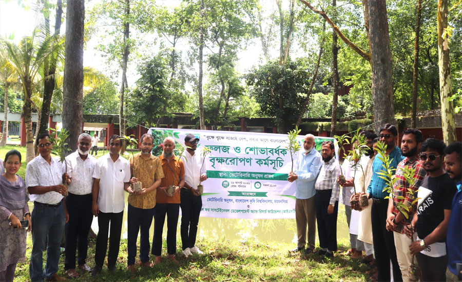 বাকৃবিতে ভেটেরিনারি অনুষদ ও আইএসডিআরএফের যৌথ উদ্যোগে অর্ধশতাধিক গাছের চারা রোপণ