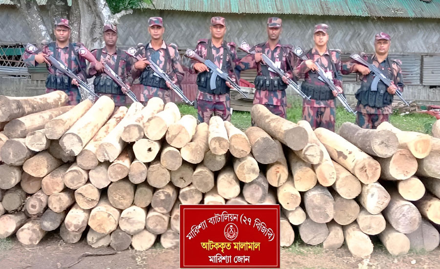 মারিশ্যায় মালিকবিহীন বিপুল পরিমাণ অবৈধ সেগুন কাঠ জব্দ