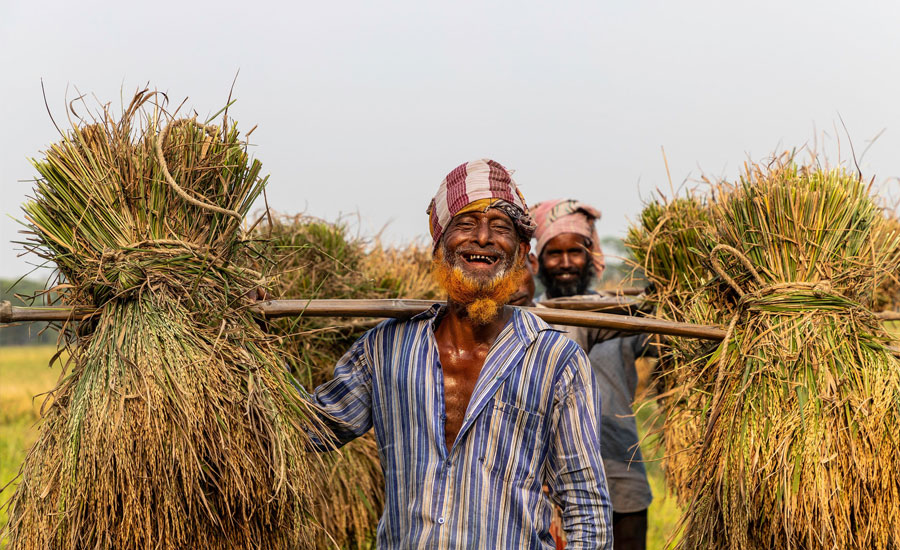 ১৪ লাখ কৃষকের সুদসহ কৃষিঋণ মওকুফ
