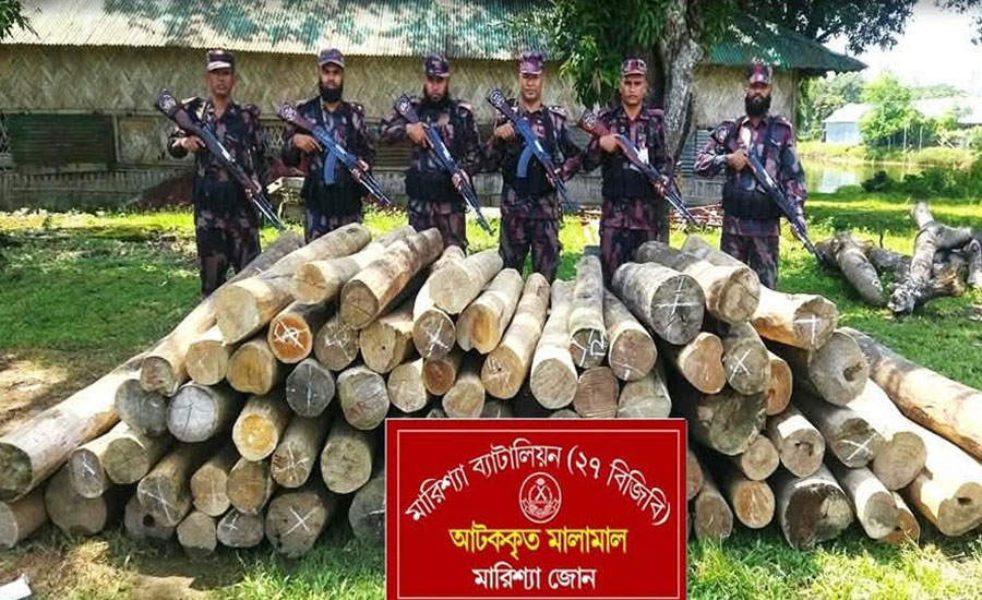 বাঘাইছড়িতে বিজিবির অভিযানে অবৈধ কাঠ জব্দ 