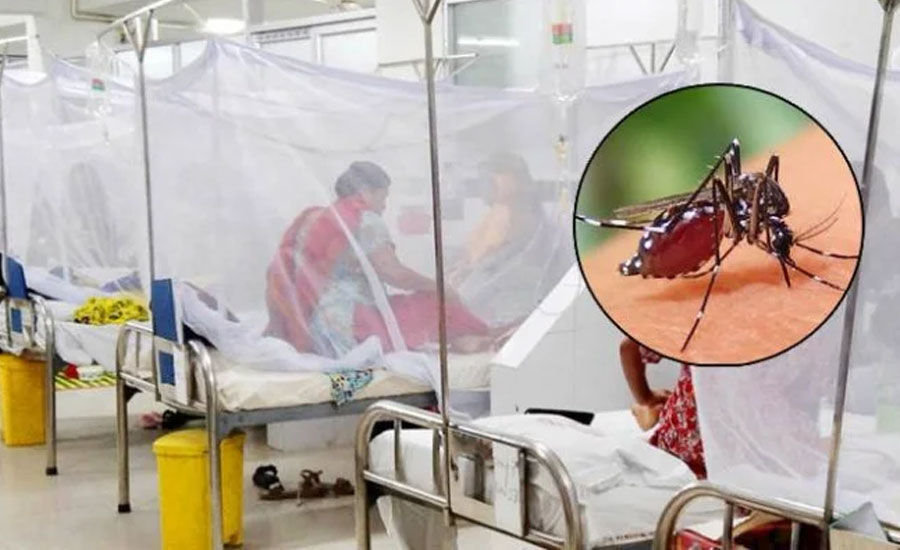 সারা বছরই ছড়াচ্ছে ডেঙ্গু, এক সপ্তাহে ২৪ প্রাণহানি