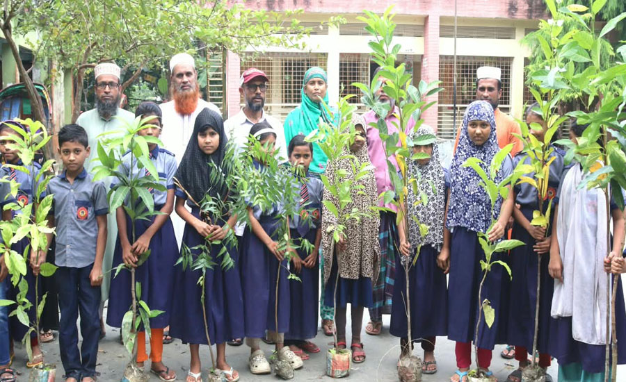 তিন বছর ধরে  চারা রোপণ ও বিতরণ করে আসছেন শাহিন গাজী 