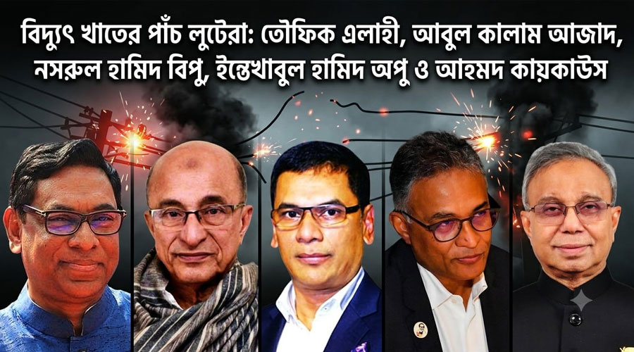 বিদ্যুৎ খাতে পঞ্চ পান্ডবের লুণ্ঠন: খেসারত দিচ্ছে দেশবাসী