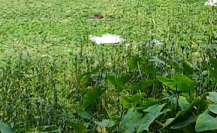 ময়মনসিংহ নগরীর গন্দ্রপায় পৈতৃক ‎জমি দখল ও হুমকির অভিযোগ