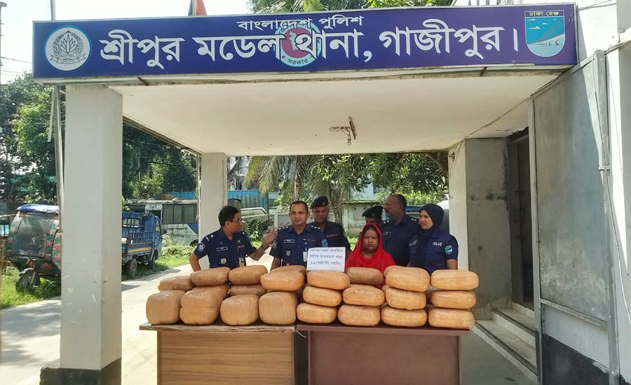 শ্রীপুরে বসতঘরে ৮৮ কেজি গাঁজাসহ স্ত্রী গ্রেপ্তার, পালালেন স্বামী