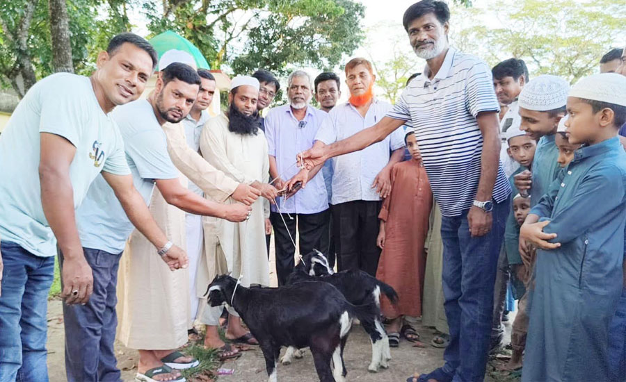 খেলার মাঠের জোড়া খাসি, নিজেরা না খেয়ে এতিম শিক্ষার্থীদের হাদিয়া দিলেন বিএনপি নেতারা
