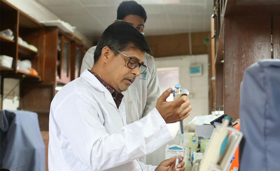 দেশে প্রথম প্ল্যানটেইন থেকে নিরাপদ ও পুষ্টিসমৃদ্ধ ব্রয়লার মাংস উৎপাদনে বাকৃবির সাফল্য