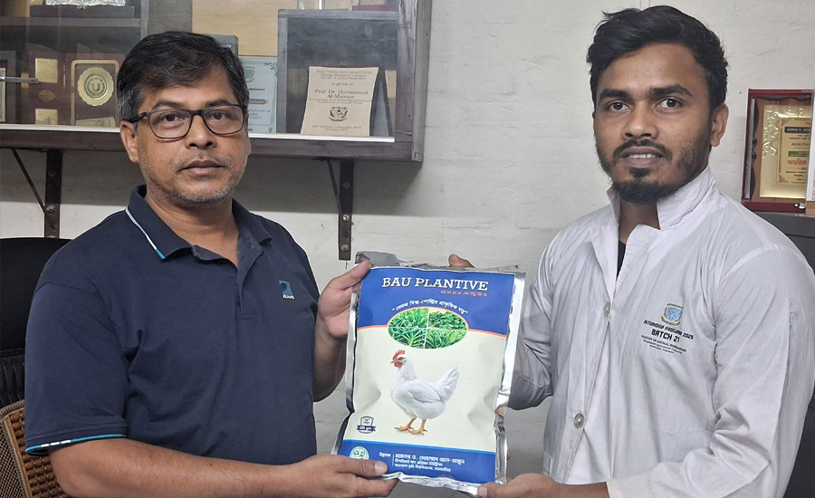 দেশে প্রথম প্ল্যানটেইন থেকে নিরাপদ ও পুষ্টিসমৃদ্ধ ব্রয়লার মাংস উৎপাদনে বাকৃবির সাফল্য