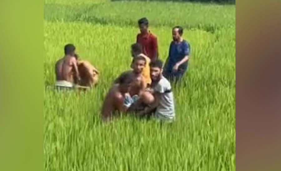 ‎ভালুকায় ধান ক্ষেতে ছিড়ে পড়ে থাকা তারে বিদ্যুৎস্পৃষ্ঠে দুই বৃদ্ধের মৃত্যু