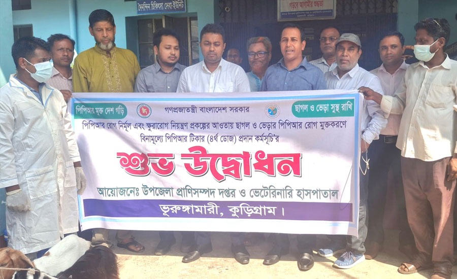 ভূরুঙ্গামারীতে পিপিআর টিকা প্রদান কর্মসূচির উদ্বোধন