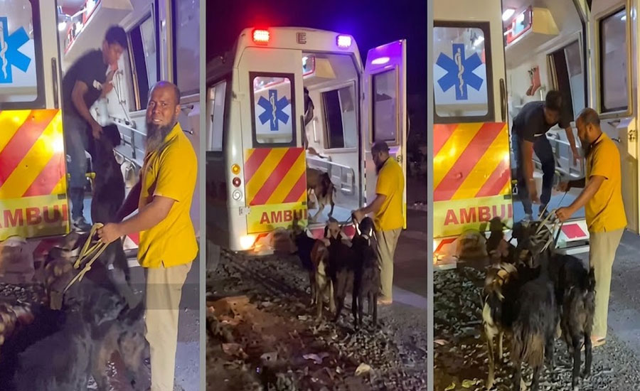 সরকারি অ্যাম্বুলেন্সে রোগীর বদলে ছাগল পরিবহন, ভিডিও ভাইরাল