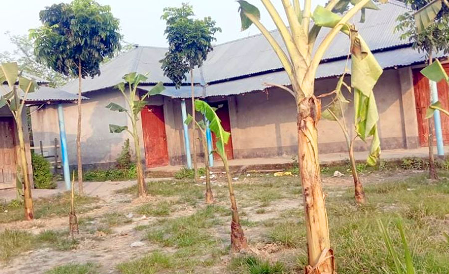 ছেলে-পুত্রবধূকে চাকরি না দেওয়ায় স্কুল মাঠে কলাগাছ লাগালেন জমিদাতা