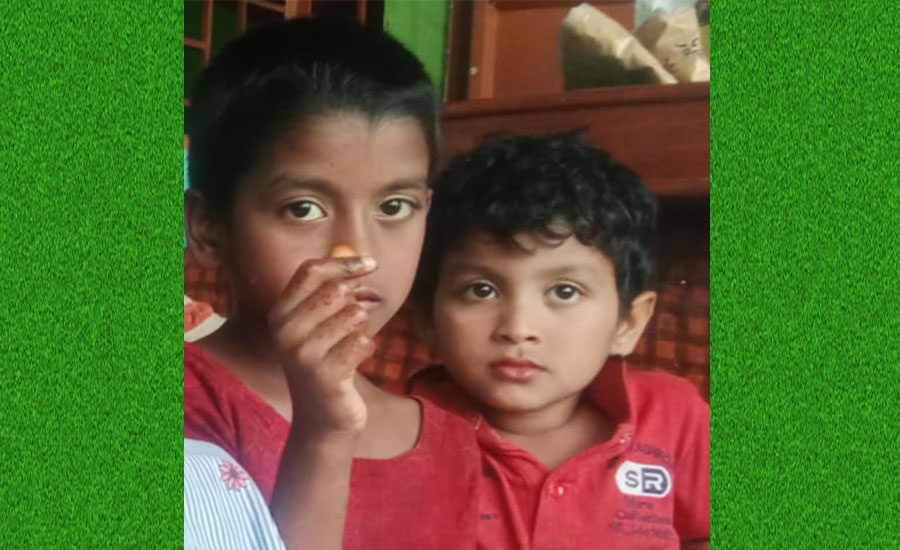 তারাকান্দায় কাভার্ডভ্যানের ধাক্কায় দুই বোনের মৃত্যু