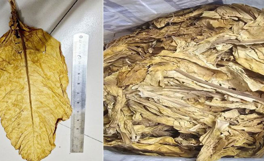 চট্টগ্রাম বন্দরে ৪৯৪ কোটি টাকার কাঁচা তামাকের চালান আটক