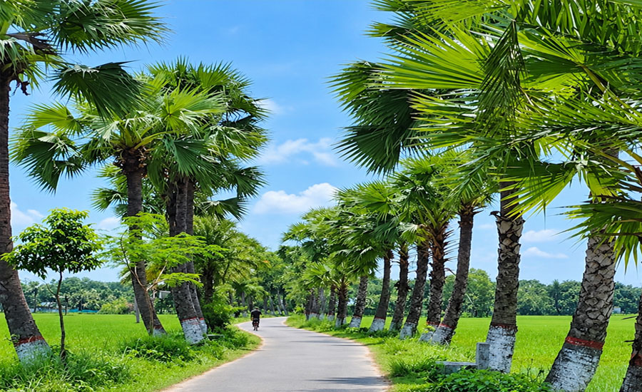 সবুজের ফেরিওয়ালা অধ্যক্ষ আরিফুর রহমান 