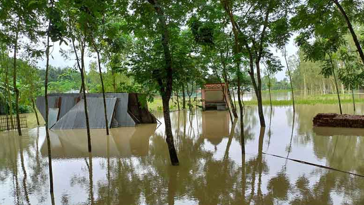 তিস্তার পানি বিপৎসীমার ৩৪ সেন্টিমিটার ওপর, চরাঞ্চল প্লাবিত
তিস্তার পানি বিপৎসীমার ৩৪ সেন্টিমিটার ওপর, চরাঞ্চল প্লাবিত