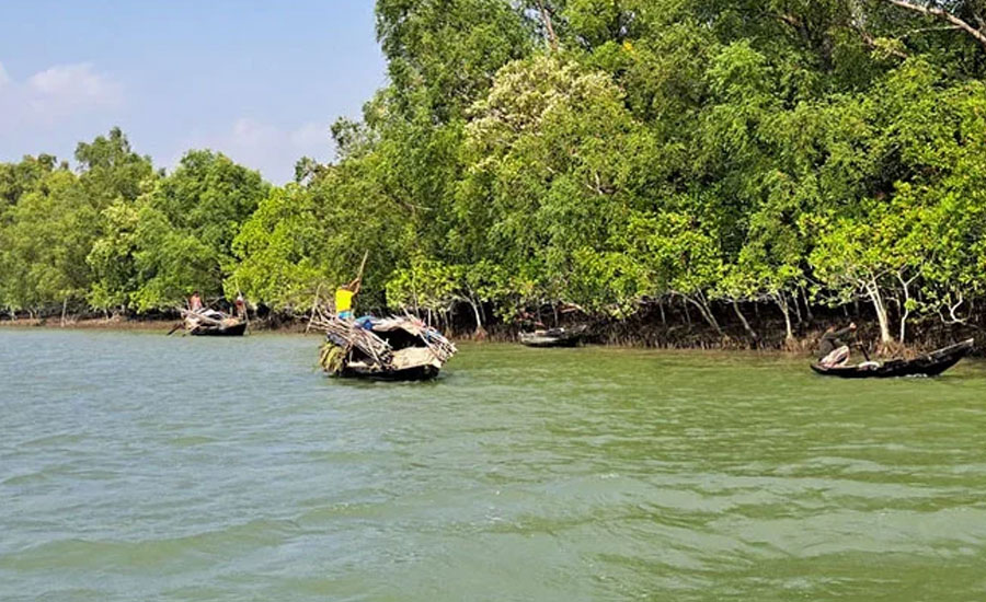 এই সময়ে কোথায় ঘুরে বেড়াবেন