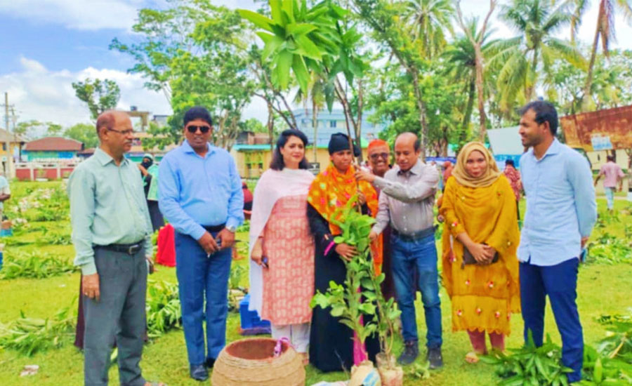 পাথরঘাটায় ২১৩ নারীর মাঝে ফলজ চারা ও হাঁস বিতরণ 