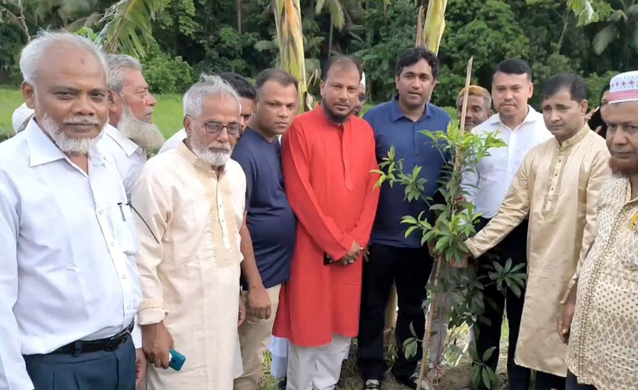 নোয়াখালীতে গ্রাম্য সড়কে ৫ হাজার বৃক্ষ রোপন কর্মসূচি 