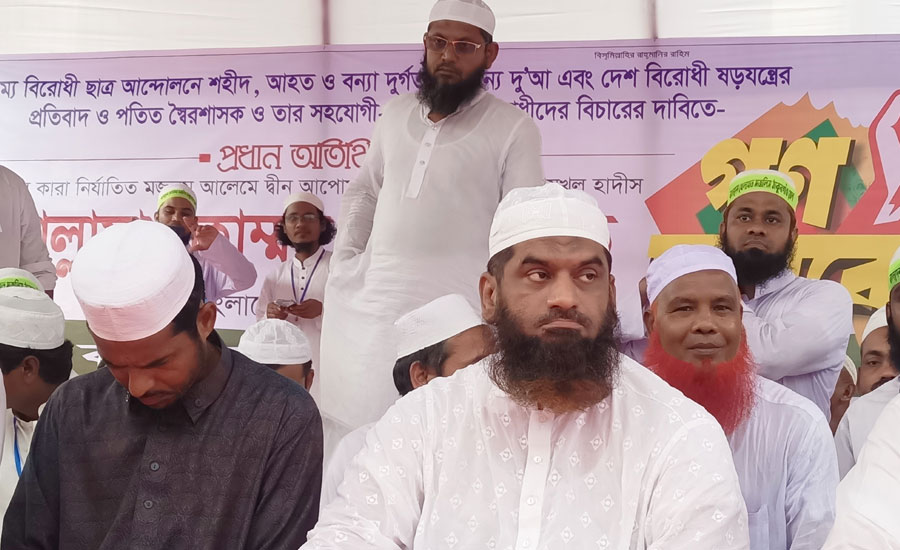 ১২'শ লোক মে'রে ১২ পদের রান্না করে উল্লাস করছিল হাসিনা : মামুনুল হক