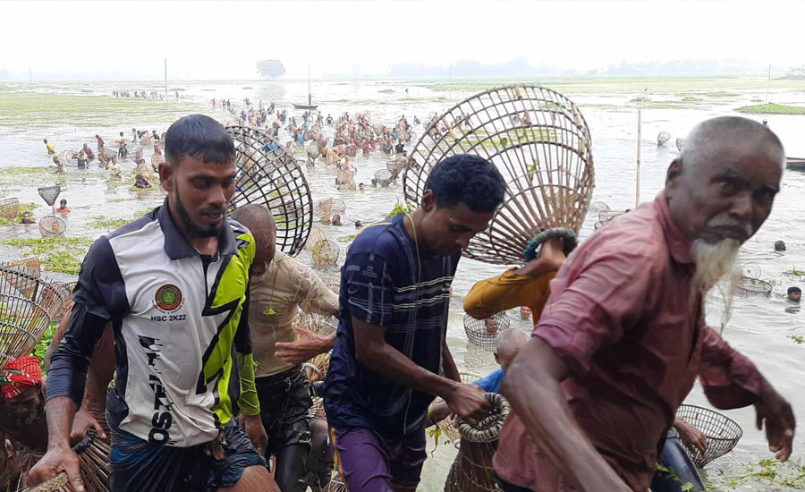 নাটোরের চলনবিলে এসে খালি হাতে ফিরলেন ৫ শতাধিক সৌখিন মাছ শিকারী