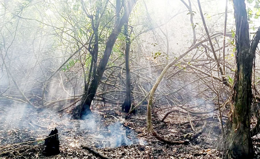 সুন্দরবনে নতুন এলাকায় ফের আগুন