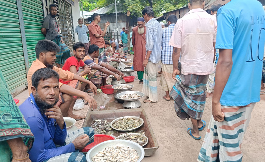 মহিষলুটি মাছের আড়তে কর্মসংস্থান ৩ হাজার শ্রমিকের