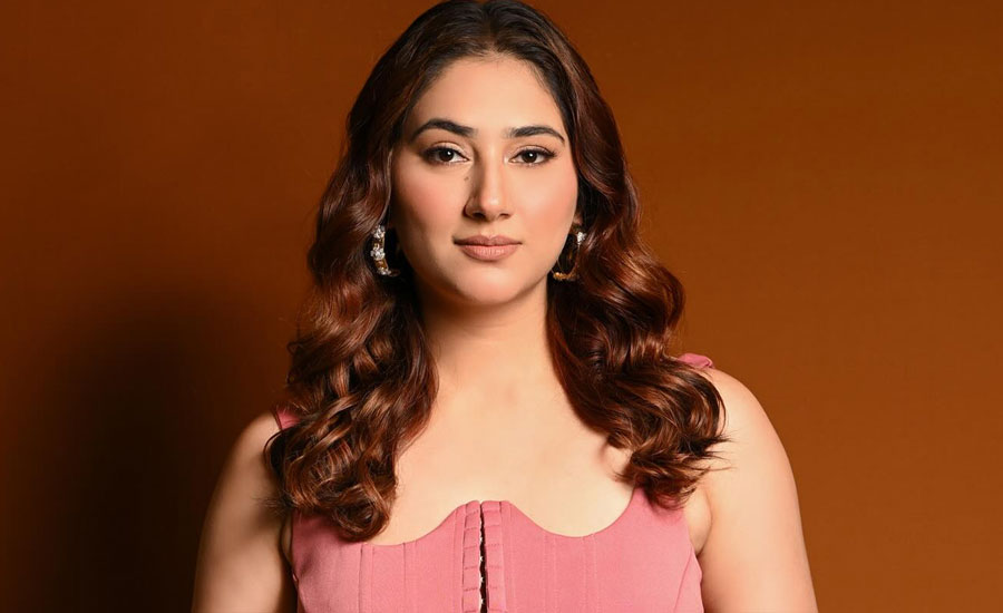 মা হওয়ার পর কোন কঠিন সময়ের মধ্যে দিয়ে যান দিশা?