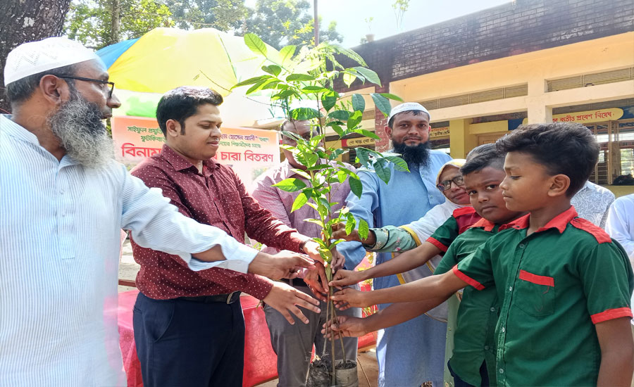 তেঁতুলিয়ায় সাইফুল প্রযুক্তি নার্সারীর উদ্যোগে শিশু শিক্ষার্থীদের মাঝে বিনামূল্যে গাছের চারা বিতরণ 