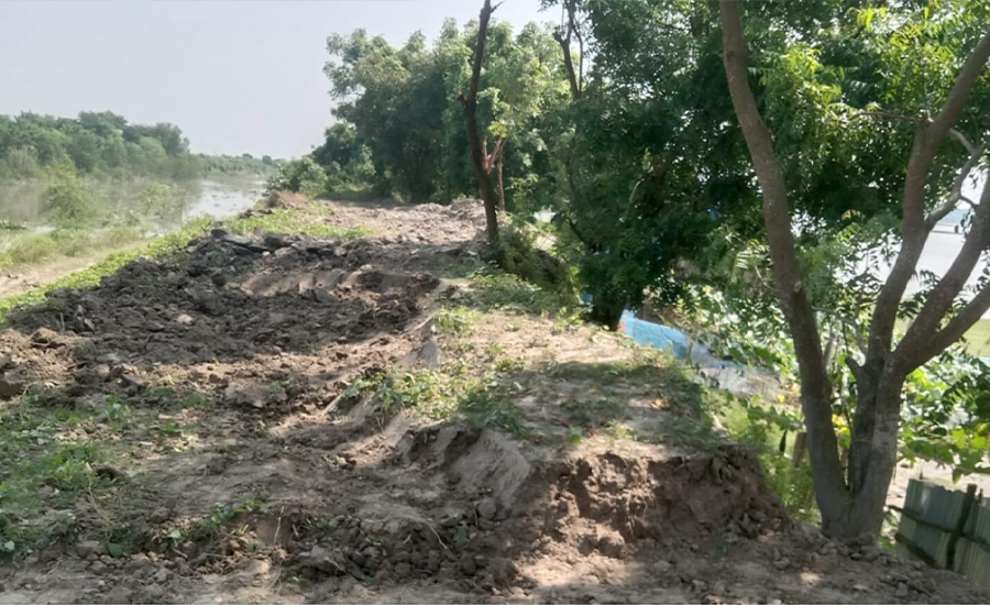 কপোতাক্ষ নদ রক্ষা বাঁধের মাটি ও গাছ কাটার অভিযোগ 