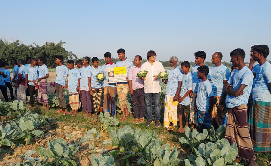 হরিপুরে হোয়াইট লেডি ফুলকপির মাঠ দিবস অনুষ্ঠিত 