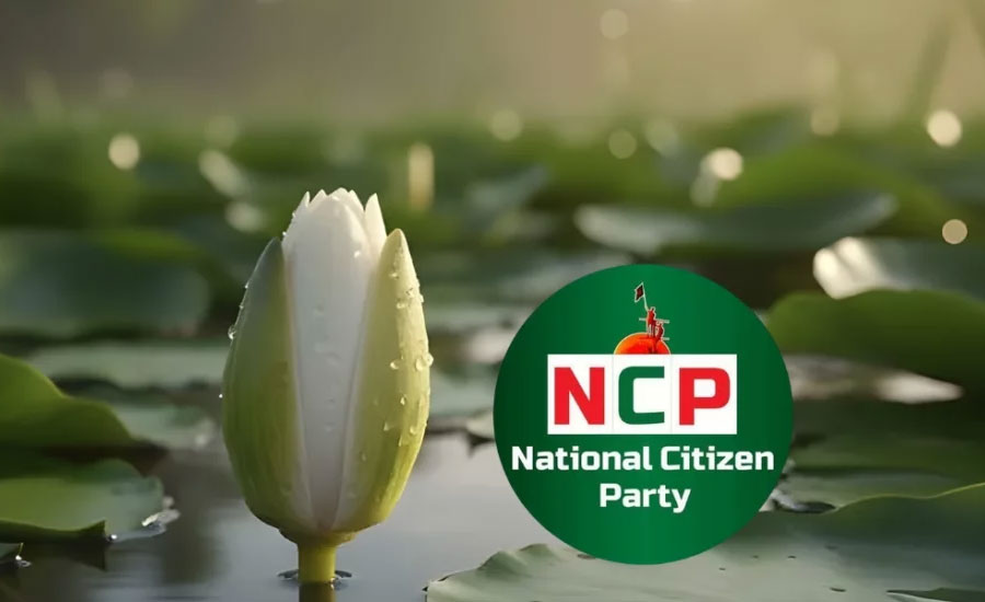 প্রতীক হিসেবে ‘শাপলা কলি’ নিতে সম্মত এনসিপি