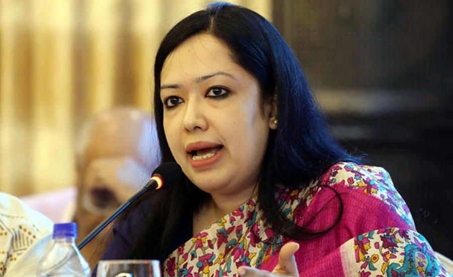 মনোনয়ন না পাওয়া নিয়ে যা বললেন রুমিন ফারহানা