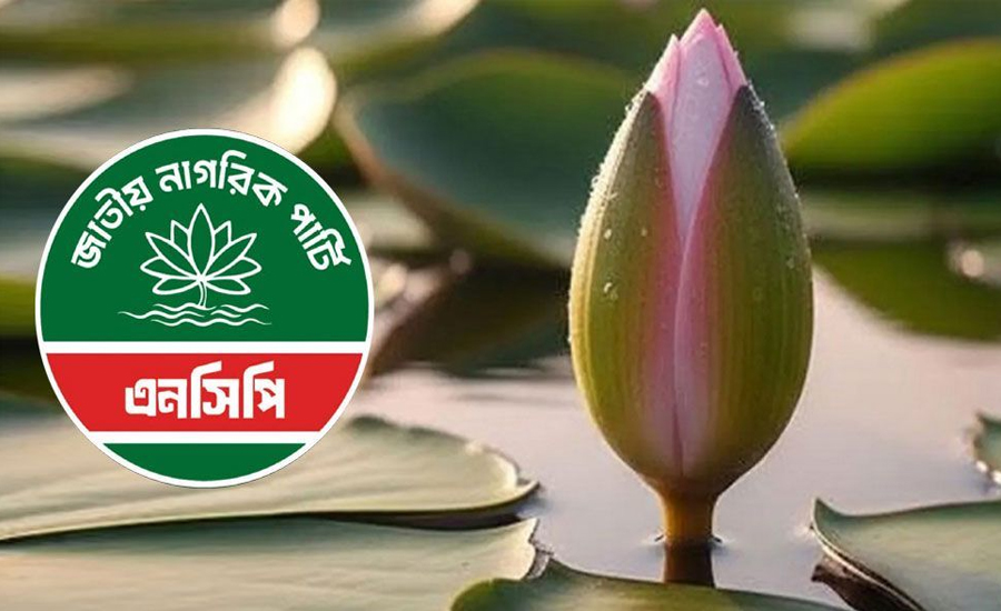 শাপলা কলিসহ নিবন্ধন পেলো এনসিপি