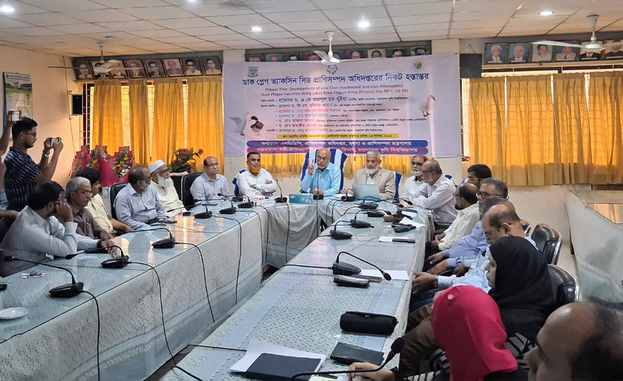 হাঁসের মৃত্যুহার কমাতে বাকৃবি গবেষকদের নতুন ভ্যাকসিন উদ্ভাবন 