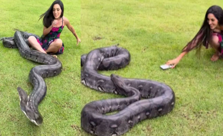 তরুণীর দিকে তেড়ে গেল বিশাল সাপ, ভিডিও ভাইরাল