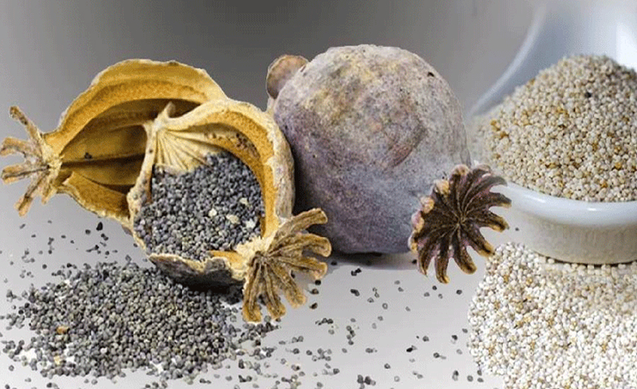 পাখির খাদ্যের আড়ালে পাকিস্তান থেকে এল আমদানি নিষিদ্ধ পপি বীজ