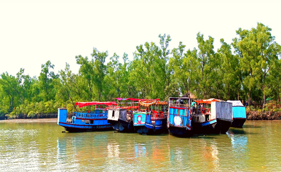 শ্যামনগরে ভেটখালী কম্পিউটার ব্যাবসায়ীদের উদ্যোগে সুন্দরবনের কলাগাছিয়া ভ্রমণ